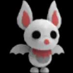 Albino Bat