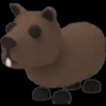 Capybara