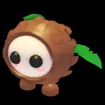 Coconut Friend