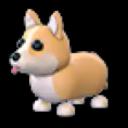 Corgi