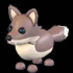 Coyote