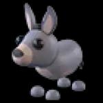 Donkey