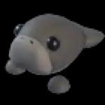 Dugong