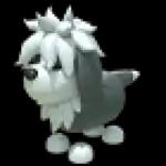 English Sheepdog