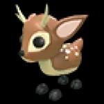 Fallow Deer