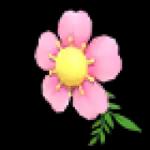 Flower Monocle