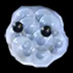Frogspawn