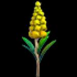 Goldenrod Flower