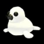 Harp Seal