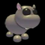 Hippo