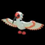 Ibis