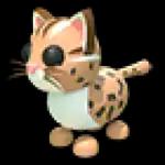 Leopard Cat