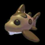 Leopard Shark