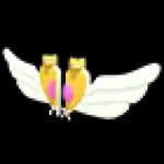 Magic Girl Wings