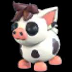 Mini Pig