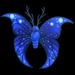 Moonbeam Butterfly