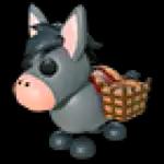 offering #662a7ef733b5405c25c68a03