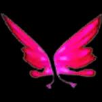 Pink Butterfly Wings