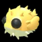 Puffer Fish