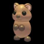offering #65e06f6ce853162430360a46