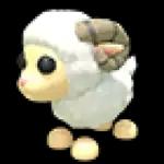 Ram