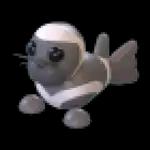 Ribbon Seal