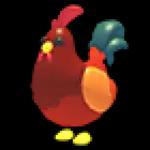 Rooster