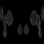 Shadow Aura