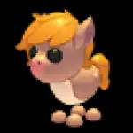 Show Pony