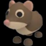 Shrew