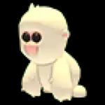 Snow Monkey