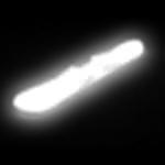 White Neon Snowboard
