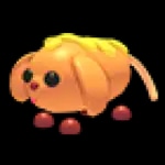 Corn Doggo