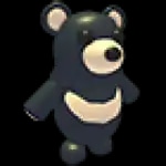 Black Moon Bear