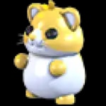 Golden Hamster