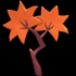 Maple Leaf Treat