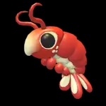 Emperor Shrimp