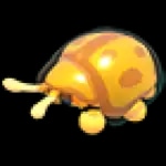 Golden Tortoise Beetle