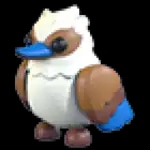 Kookaburra