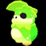 Kappakid