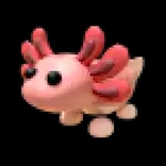 Axolotl